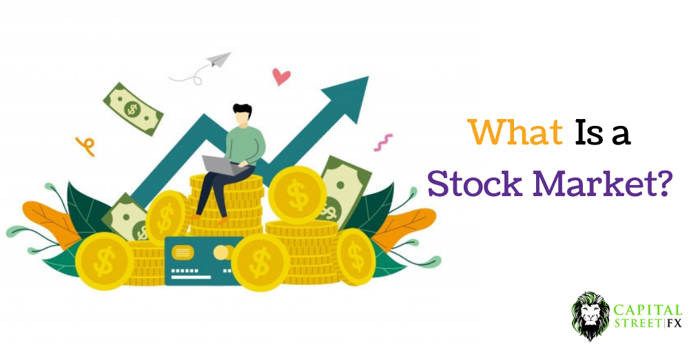 WHAT IS A STOCK MARKET?